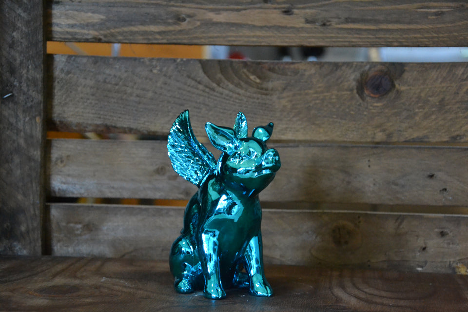 FLYING PIG - Pitiminís