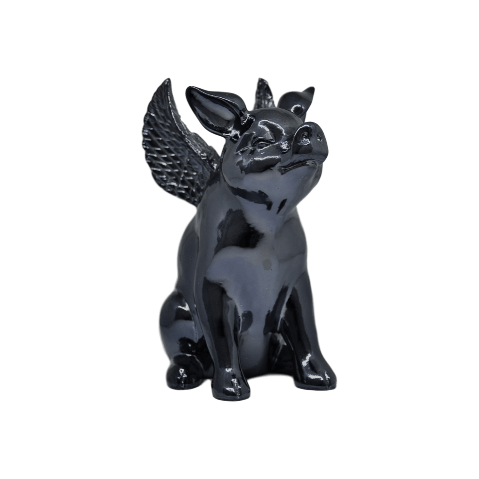 FLYING PIG - Pitiminís