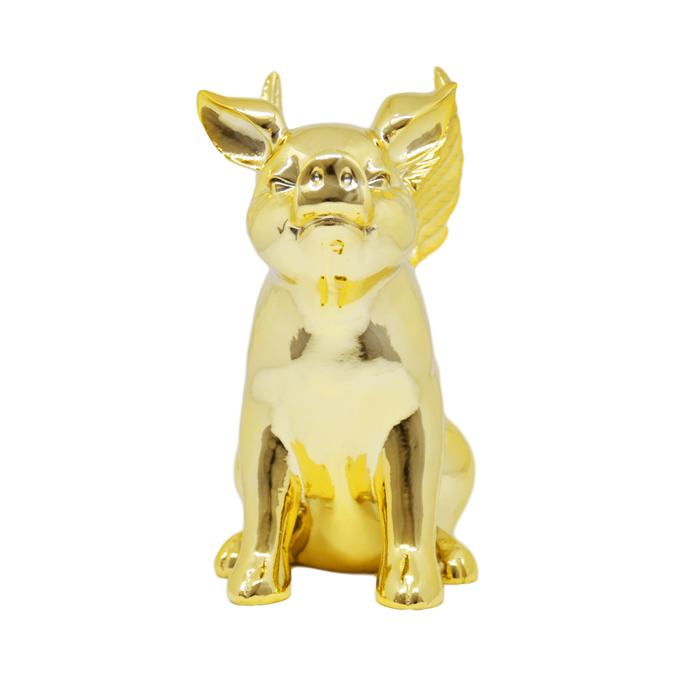 FLYING PIG XL - Pitiminís