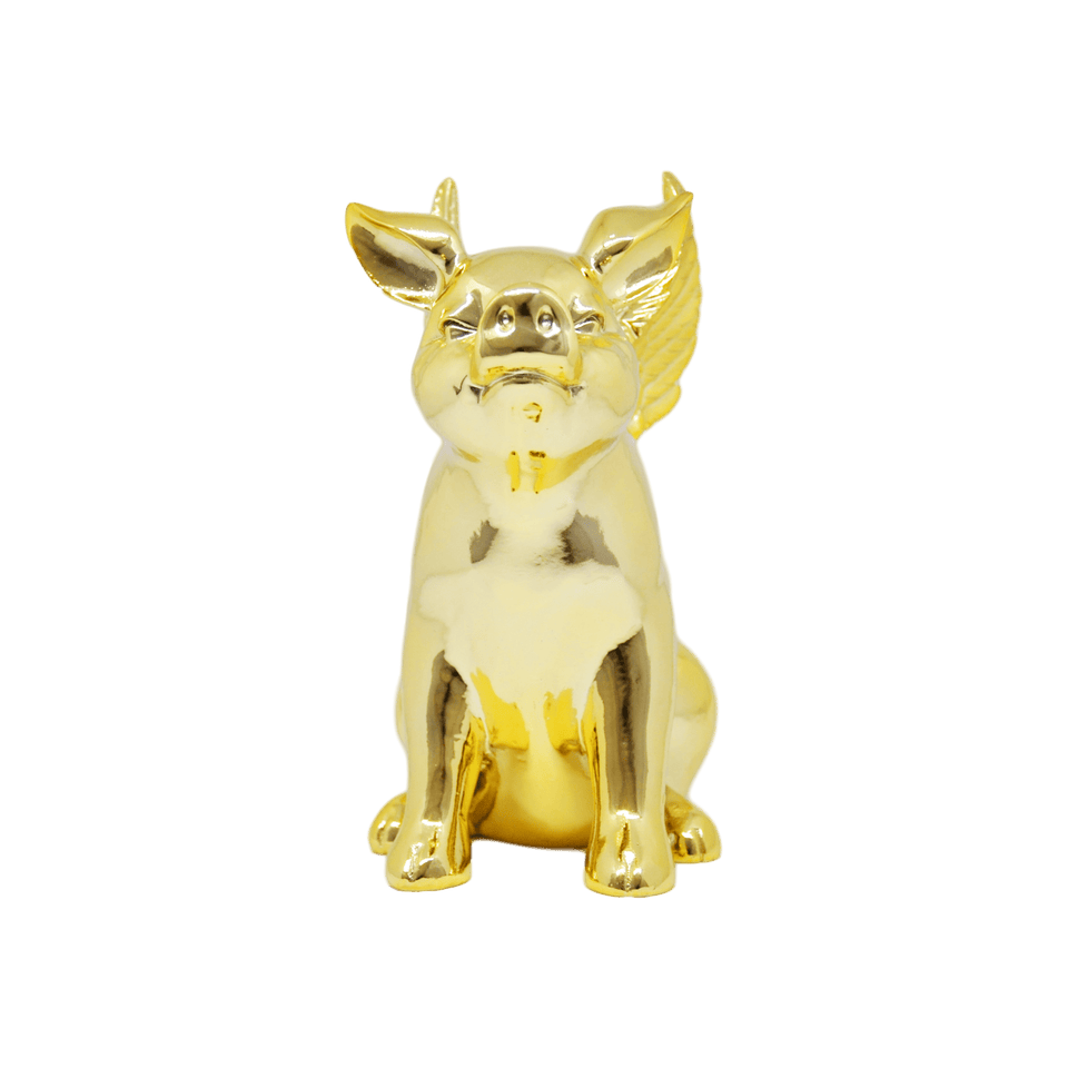 FLYING PIG - Pitiminís