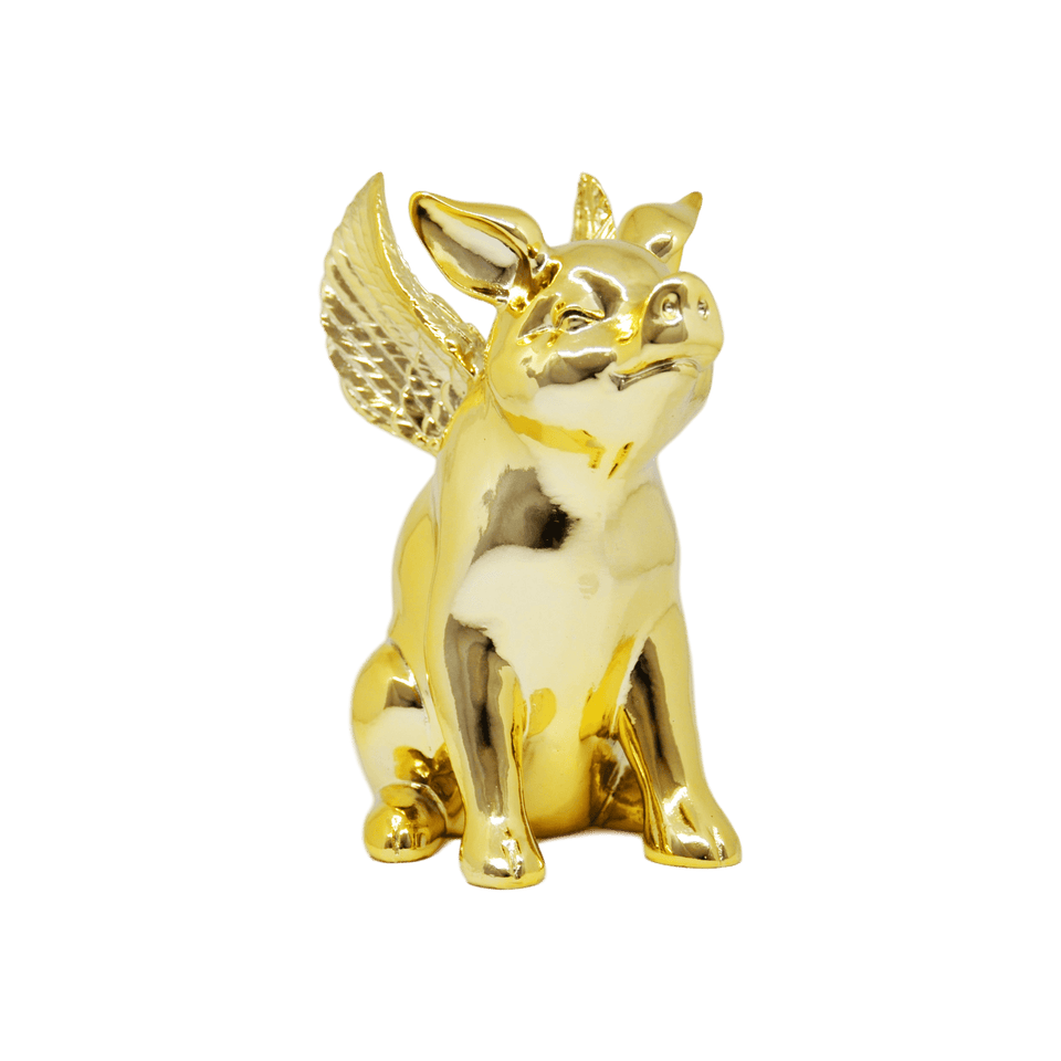 FLYING PIG - Pitiminís