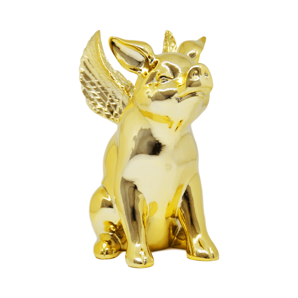 FLYING PIG XL - Pitiminís