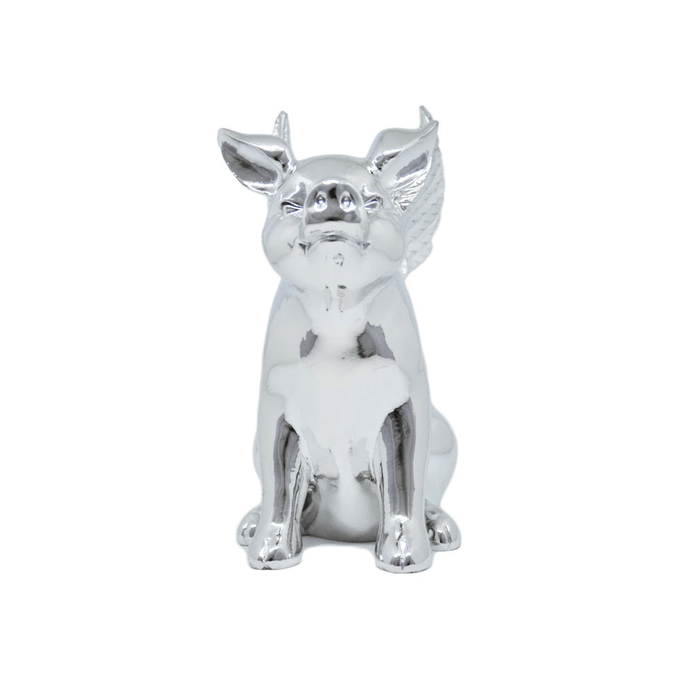 FLYING PIG - Pitiminís