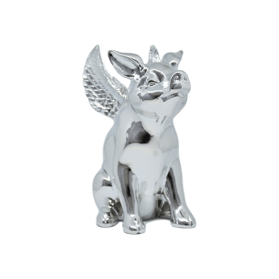 FLYING PIG - Pitiminís