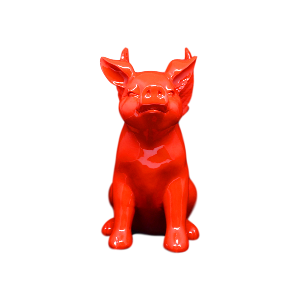 FLYING PIG - Pitiminís