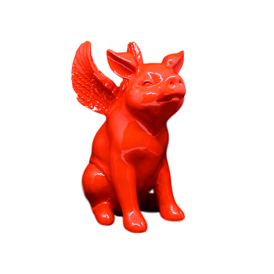 FLYING PIG - Pitiminís